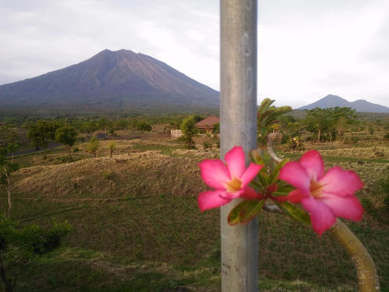 Khrisna Sunrise Homestay Tulamben Exterior foto